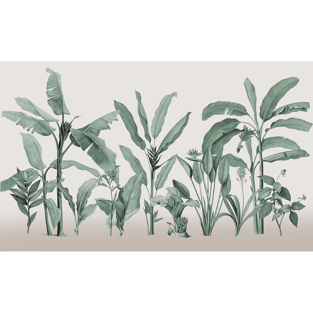 Honpo | Botanical Honpo | Botanical