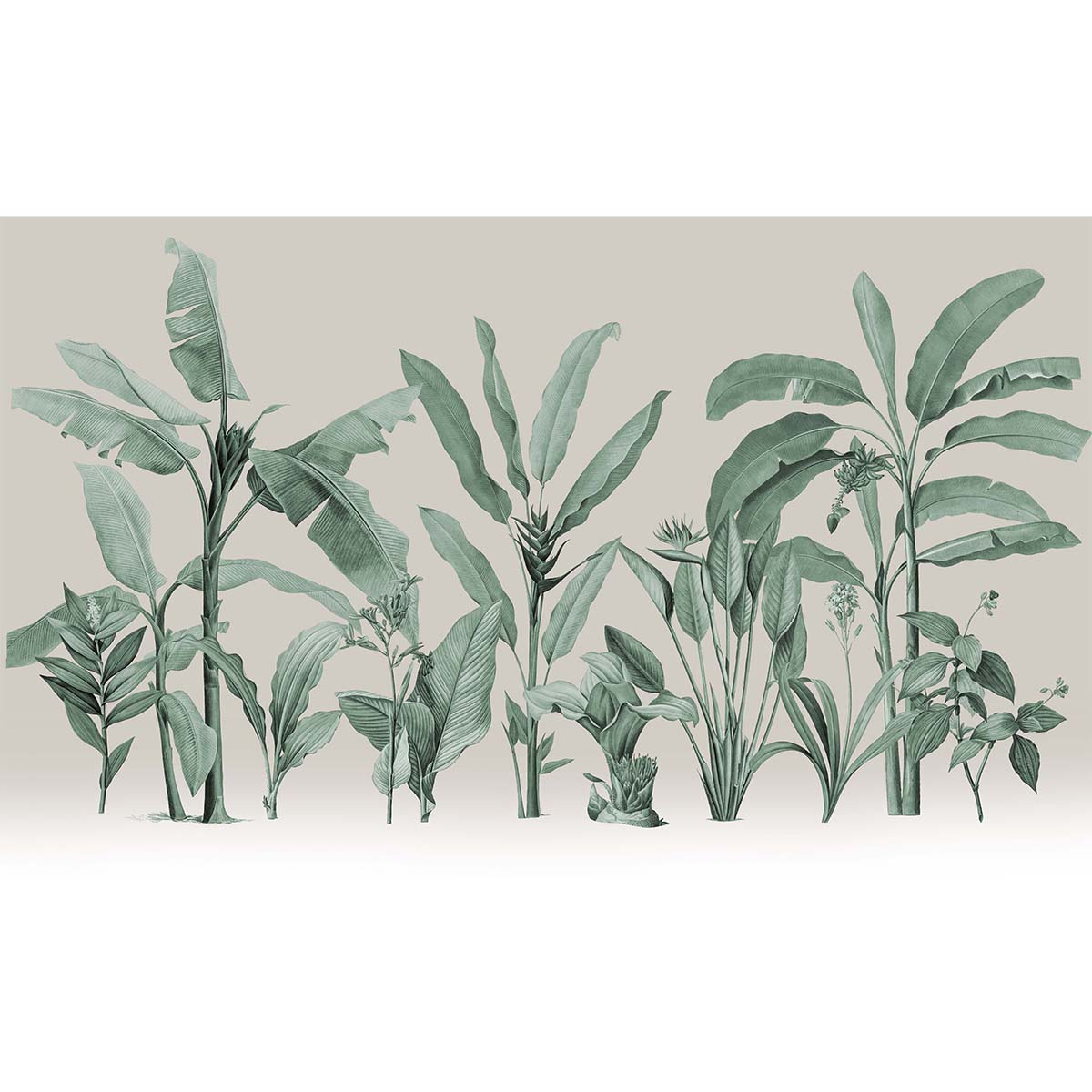 Honpo | Botanical Honpo | Botanical