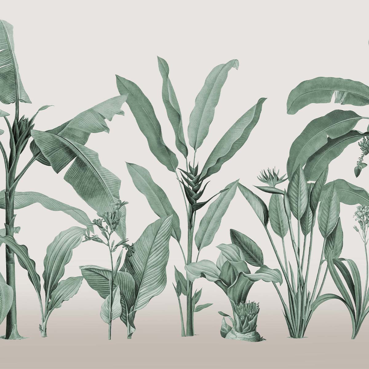 Honpo | Botanical Honpo | Botanical