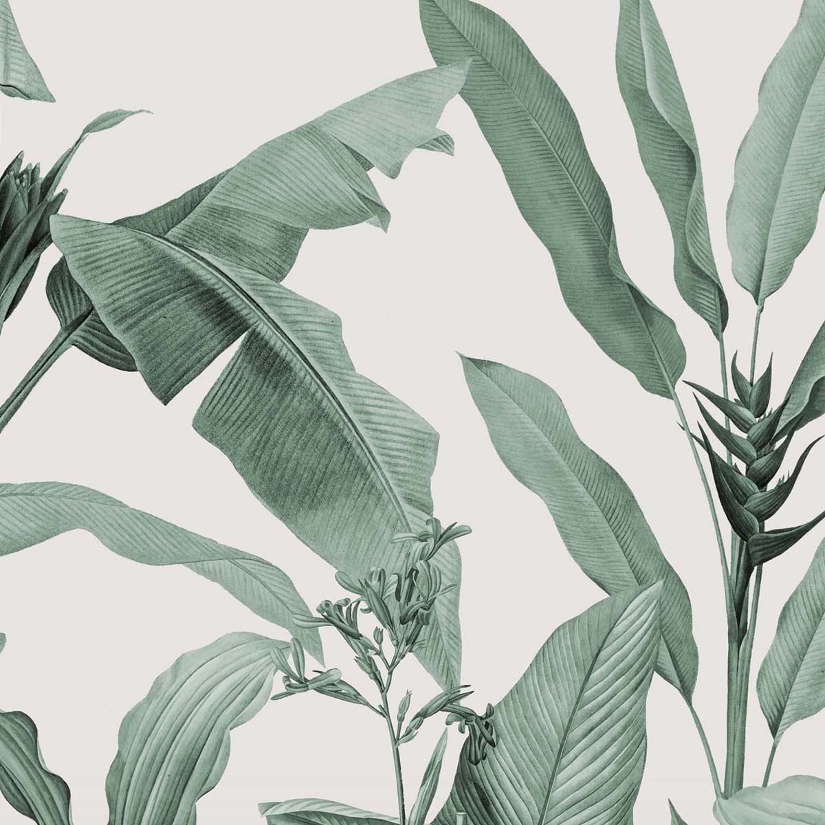 Honpo | Botanical Honpo | Botanical