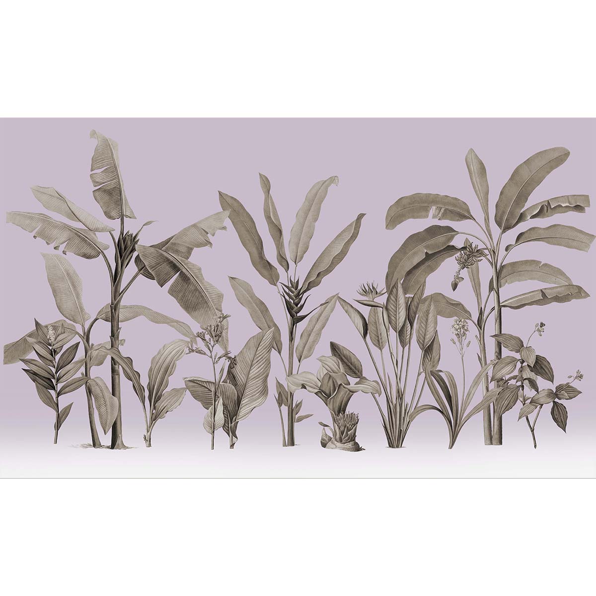 Honpo | Botanical Honpo | Botanical