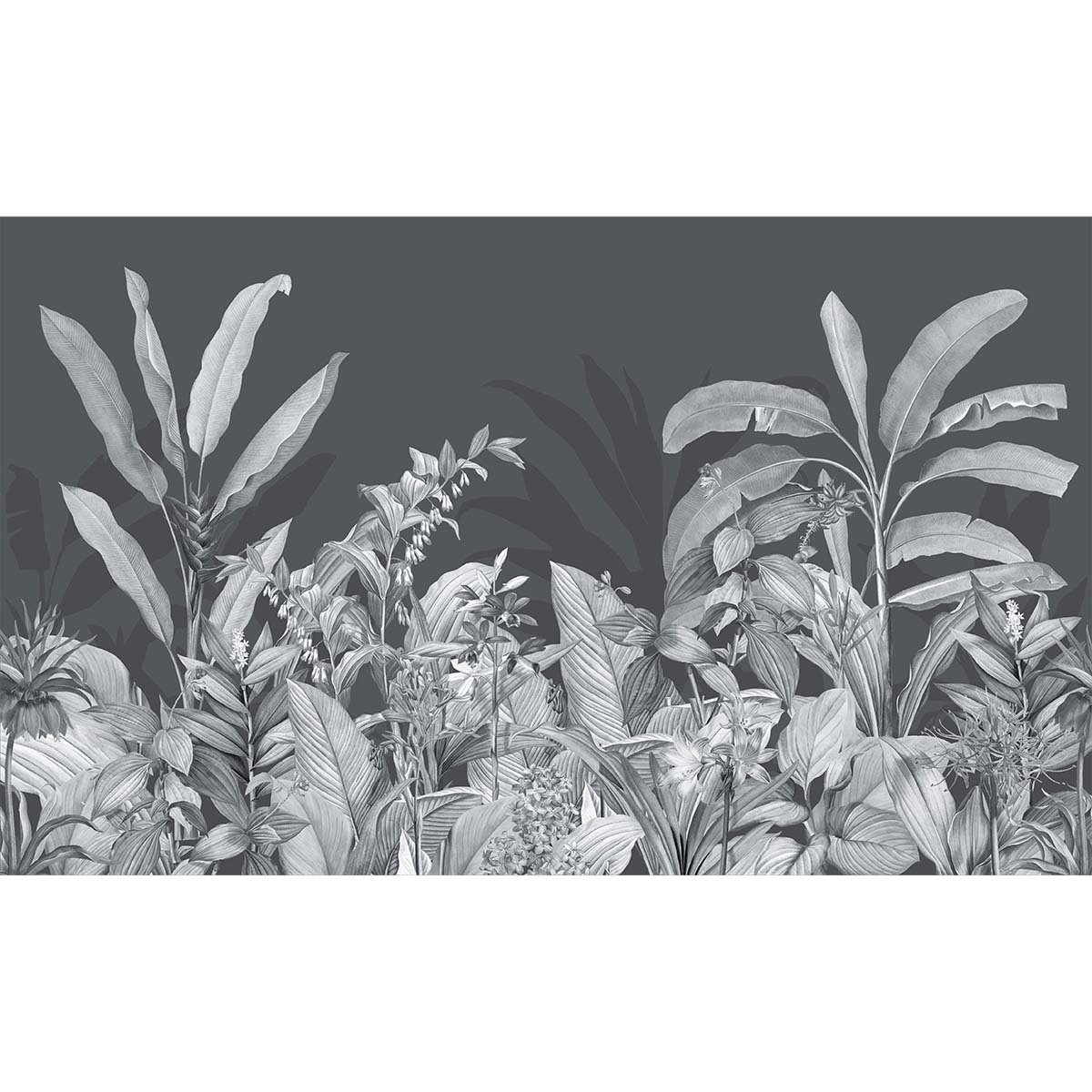 Honpo | Biophilia Fern Honpo | Biophilia Fern