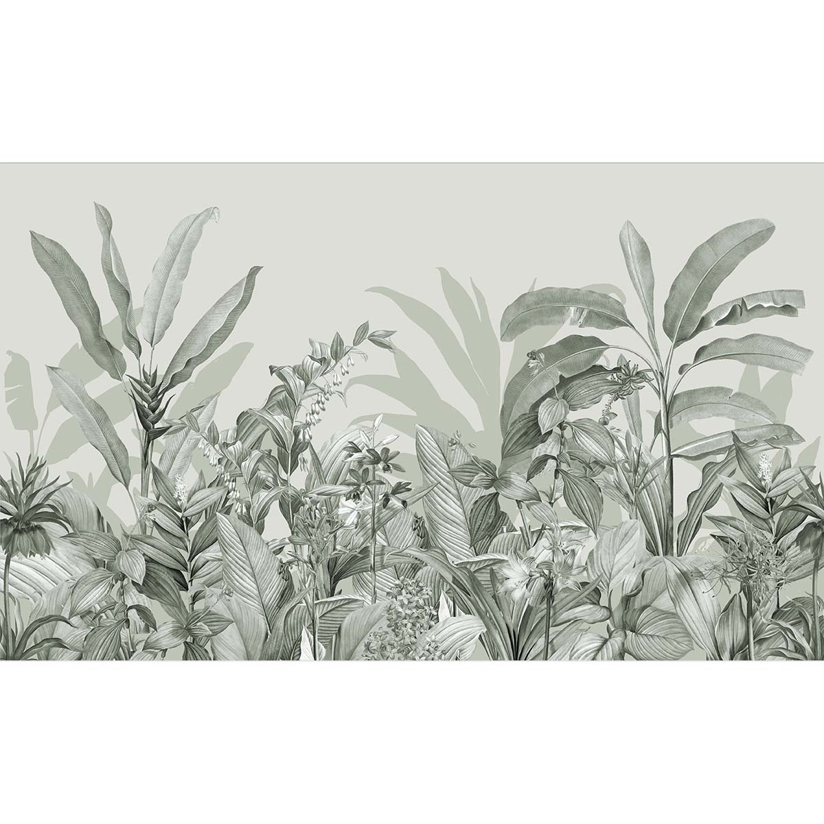 Honpo | Biophilia Fern Honpo | Biophilia Fern