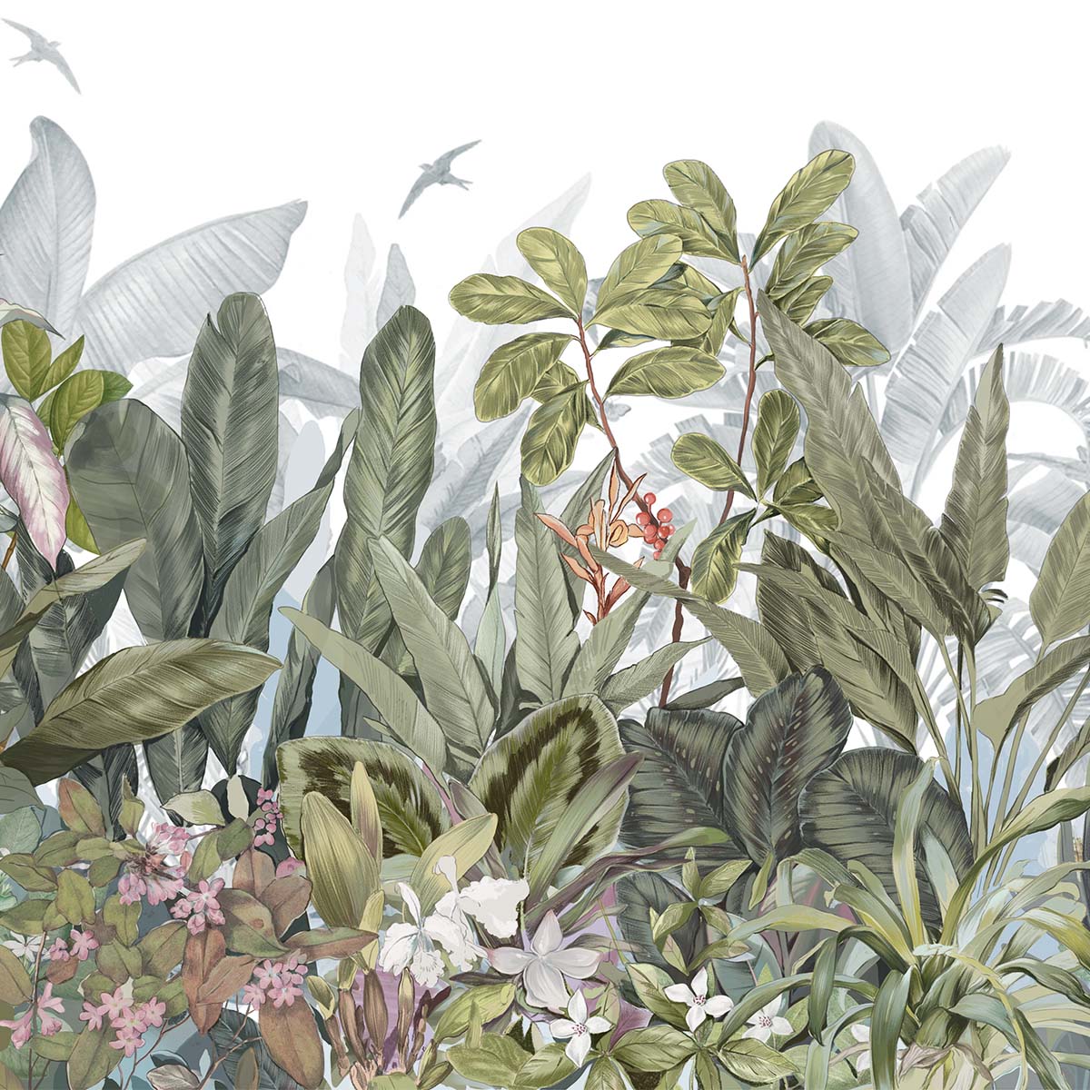 Honpo | Odishie Honpo | Odishie