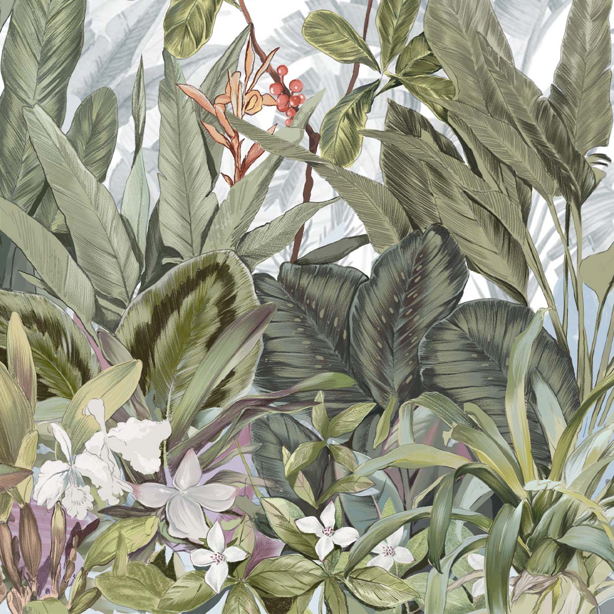 Honpo | Odishie Honpo | Odishie