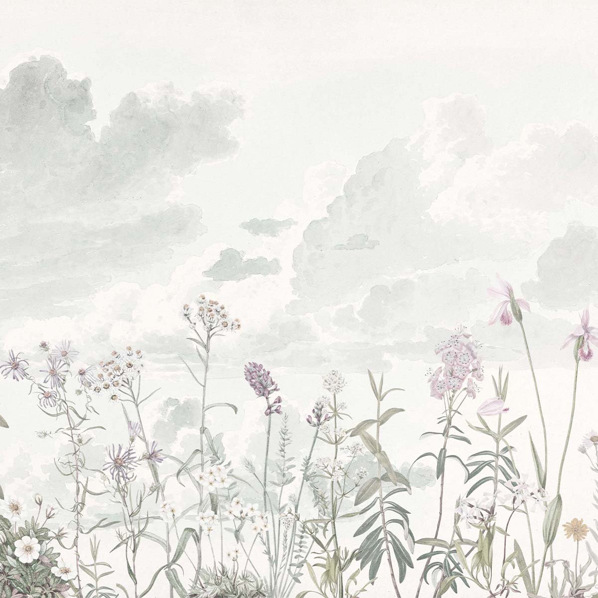 Honpo | Voliere Honpo | Voliere