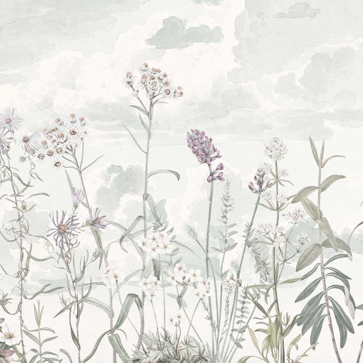 Honpo | Voliere Honpo | Voliere