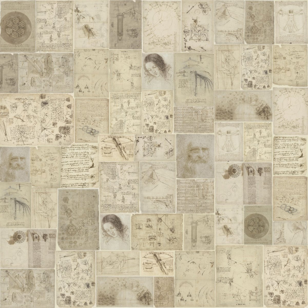 Rimura | Atlanticus Rimura | Atlanticus