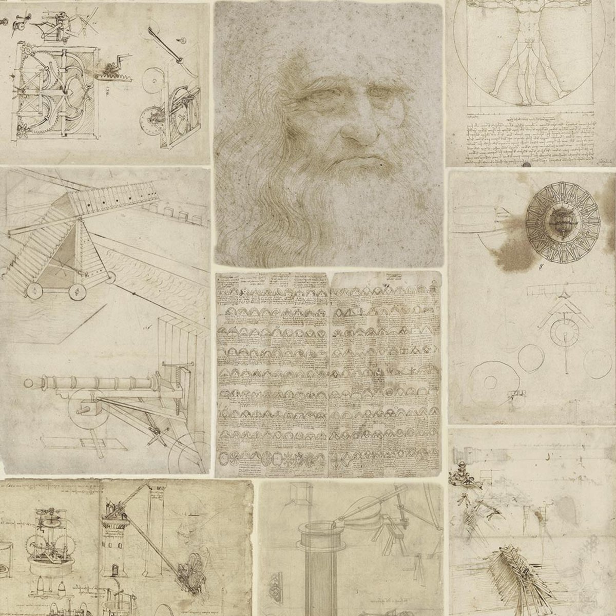 Rimura | Atlanticus Rimura | Atlanticus