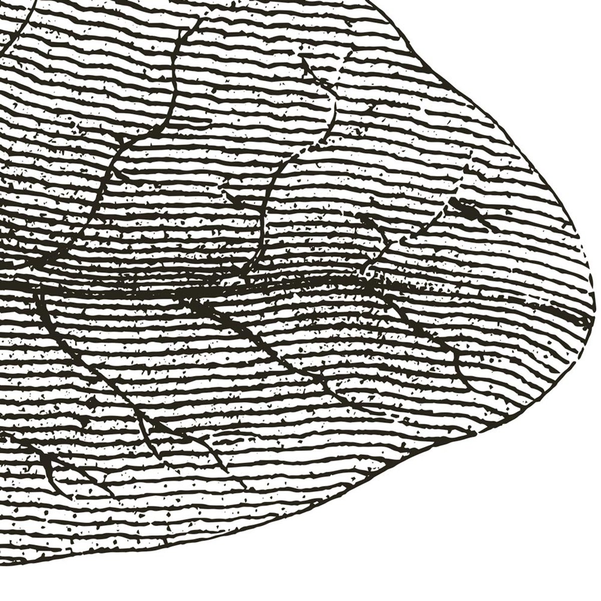 Rimura | Giant Leaves Rimura | Giant Leaves