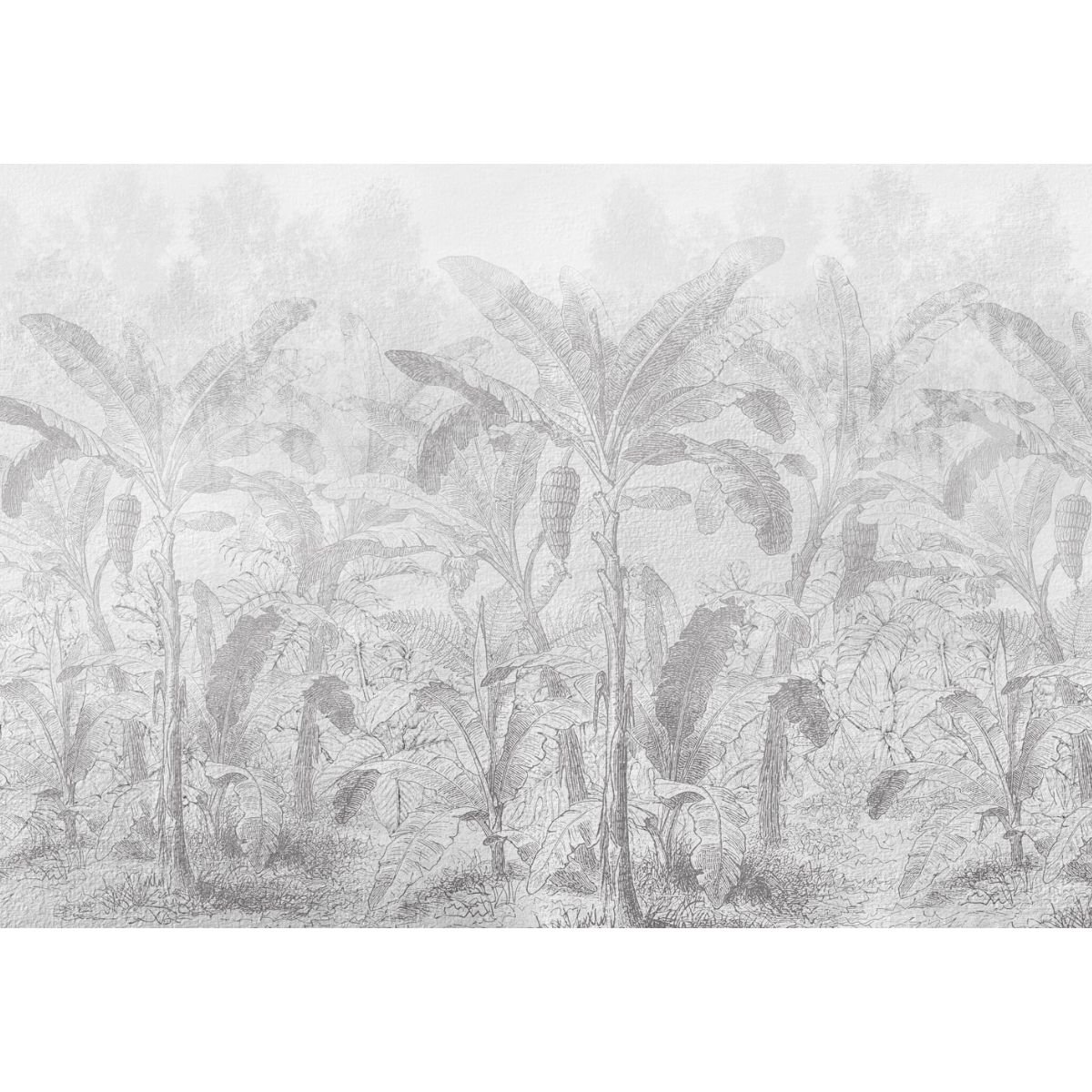 Affreschi & Affreschi | Giri | 45G-AA0201 Affreschi & Affreschi | Giri | 45G-AA0201