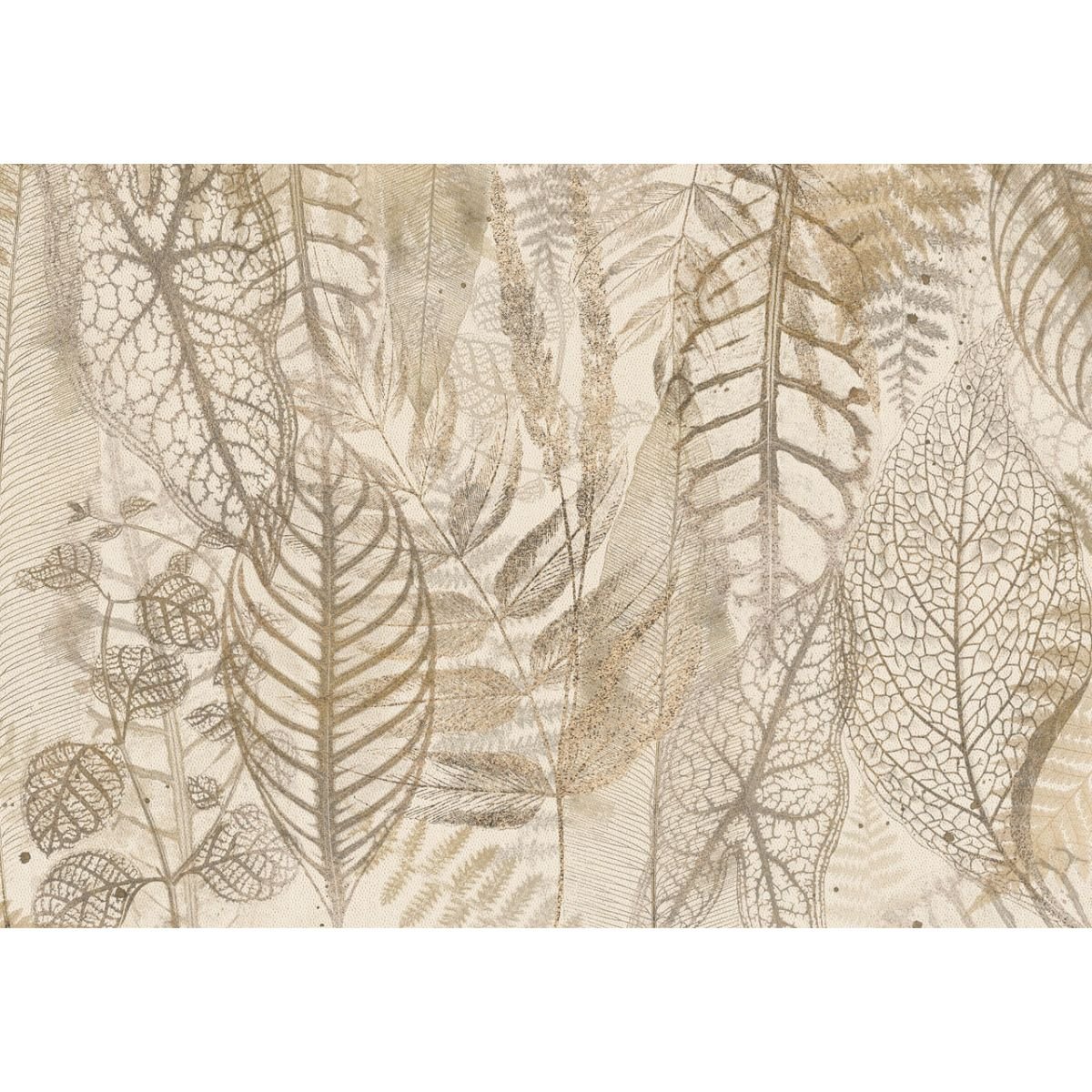 Affreschi & Affreschi | Giri | 45G-AA0602 Affreschi & Affreschi | Giri | 45G-AA0602