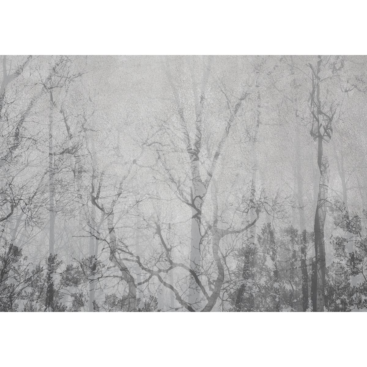 Affreschi & Affreschi | Shadows | SH04 Affreschi & Affreschi | Shadows | SH04