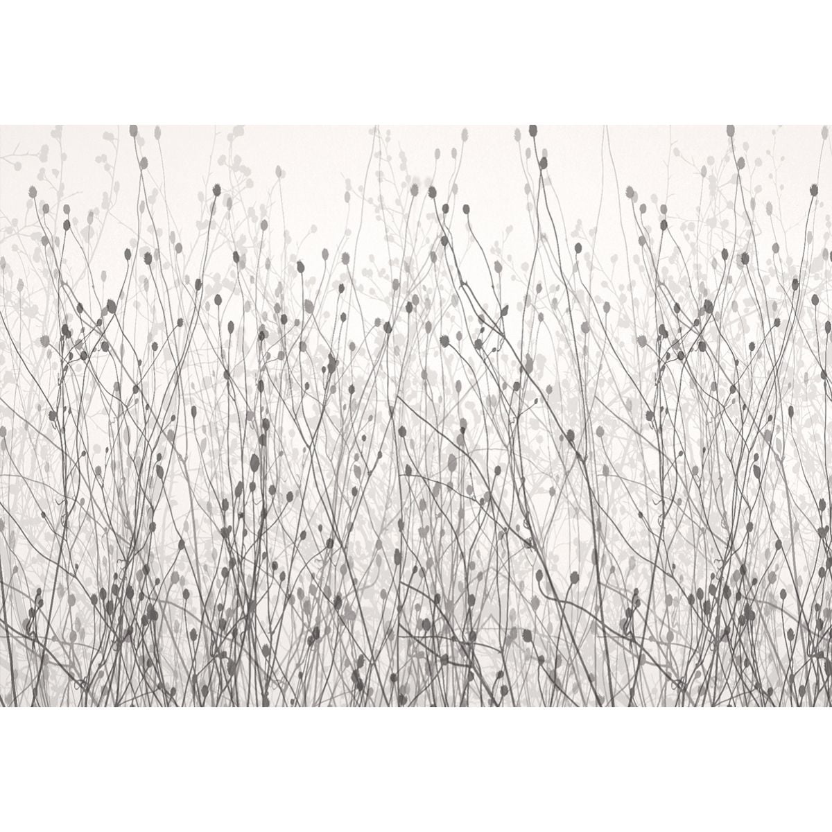 Affreschi & Affreschi | Shadows | SH10 Affreschi & Affreschi | Shadows | SH10