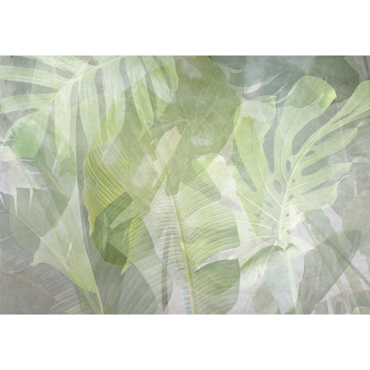 Affreschi & Affreschi | Shadows | SH13 Affreschi & Affreschi | Shadows | SH13