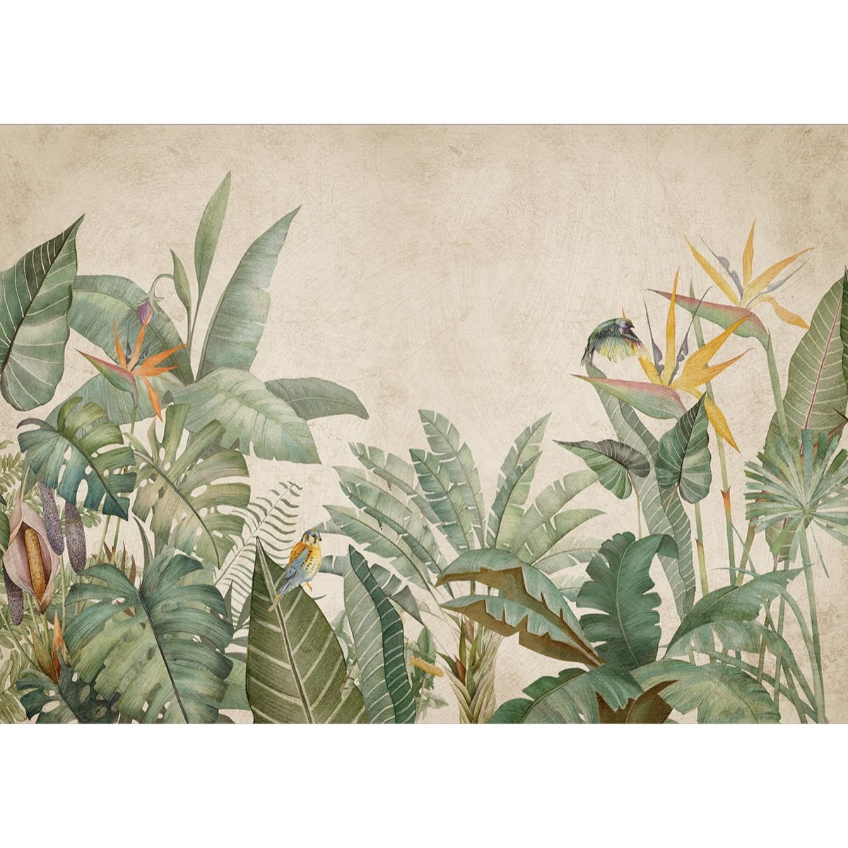 Affreschi & Affreschi | Shadows | SH15 Affreschi & Affreschi | Shadows | SH15