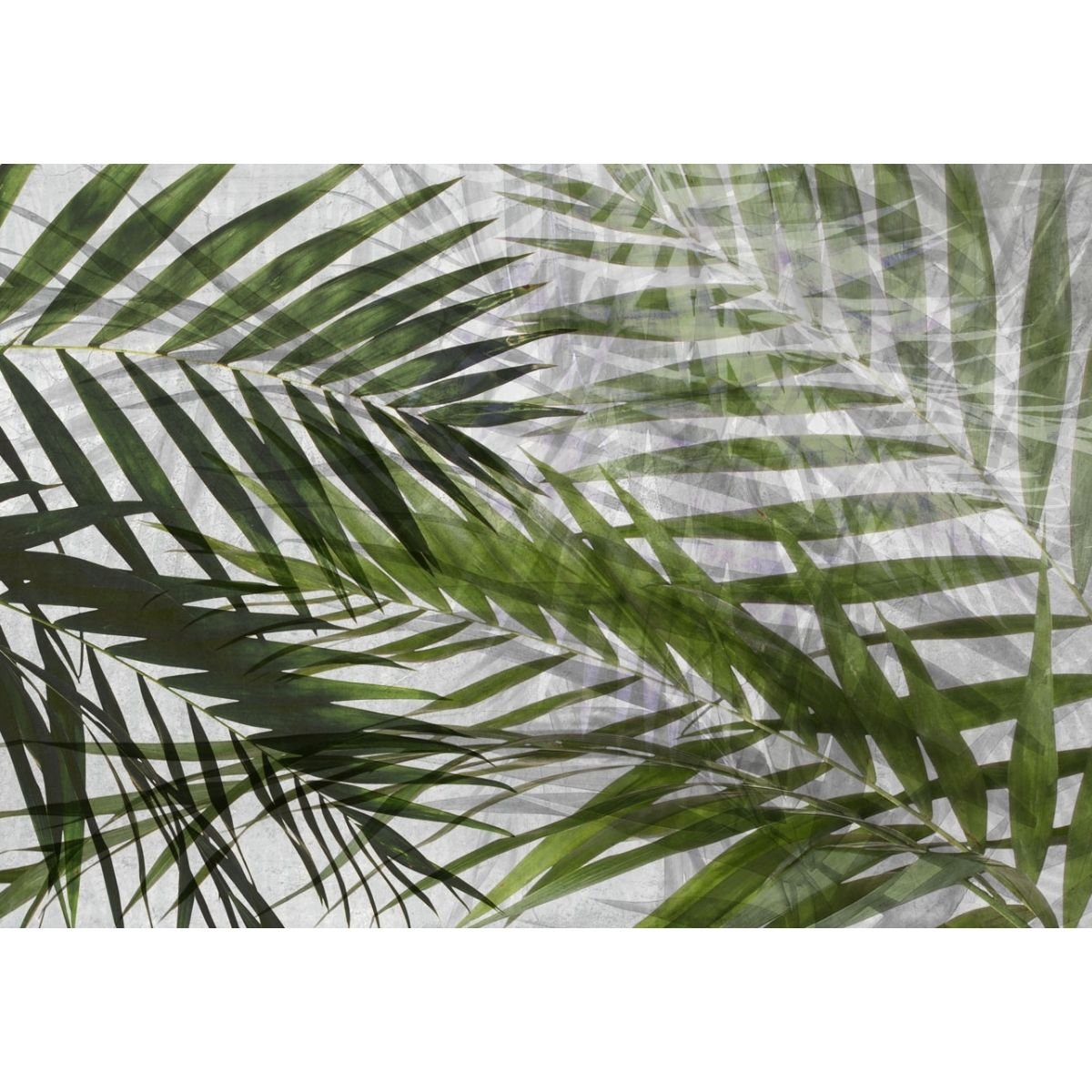 Affreschi & Affreschi | Aloha | AH 036 Affreschi & Affreschi | Aloha | AH 036