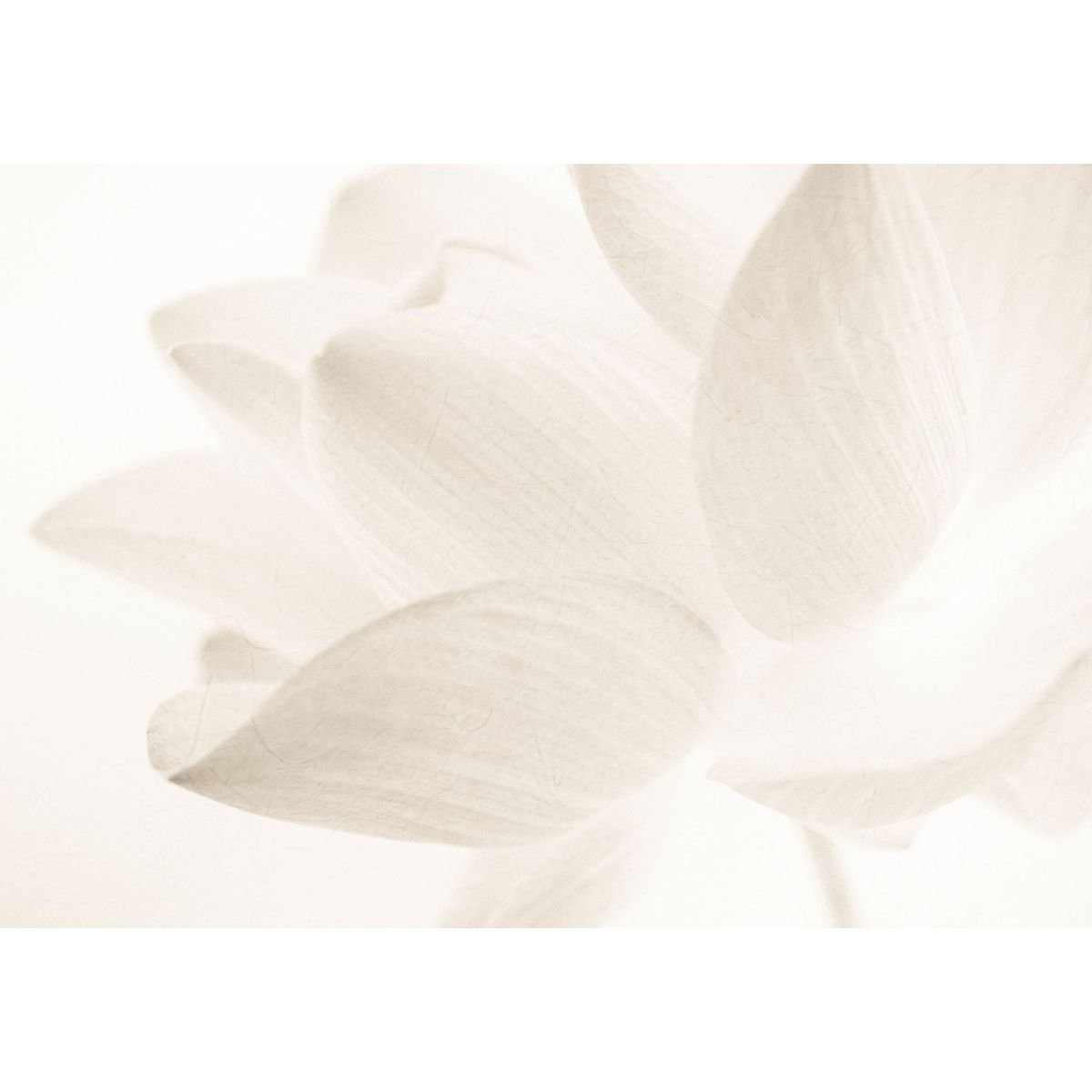 Affreschi & Affreschi | About You | AY 086 Affreschi & Affreschi | About You | AY 086