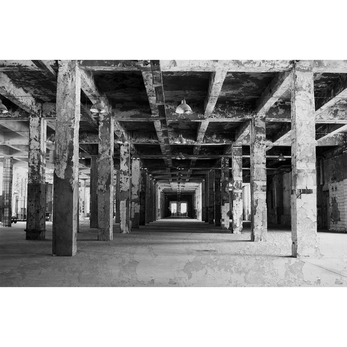 Affreschi & Affreschi | Carpe Diem | CD012 Affreschi & Affreschi | Carpe Diem | CD012