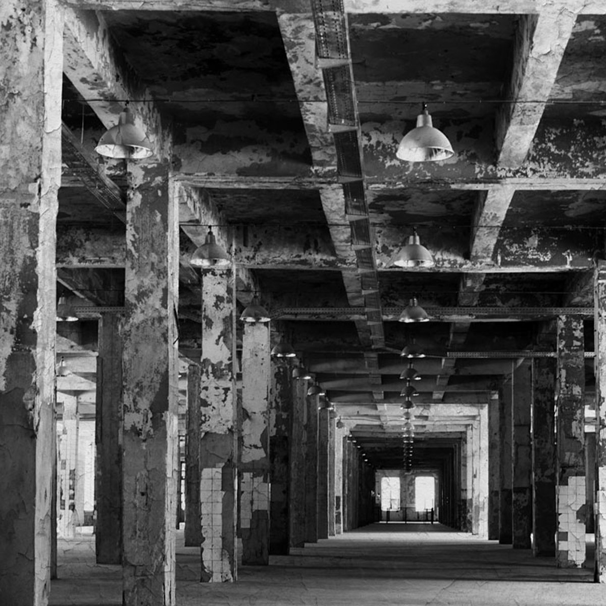 Affreschi & Affreschi | Carpe Diem | CD012 Affreschi & Affreschi | Carpe Diem | CD012