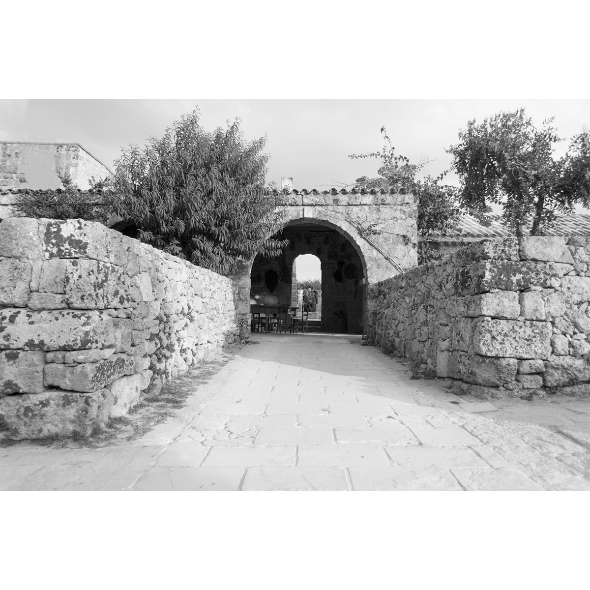 Affreschi & Affreschi | Carpe Diem | CD017 Affreschi & Affreschi | Carpe Diem | CD017