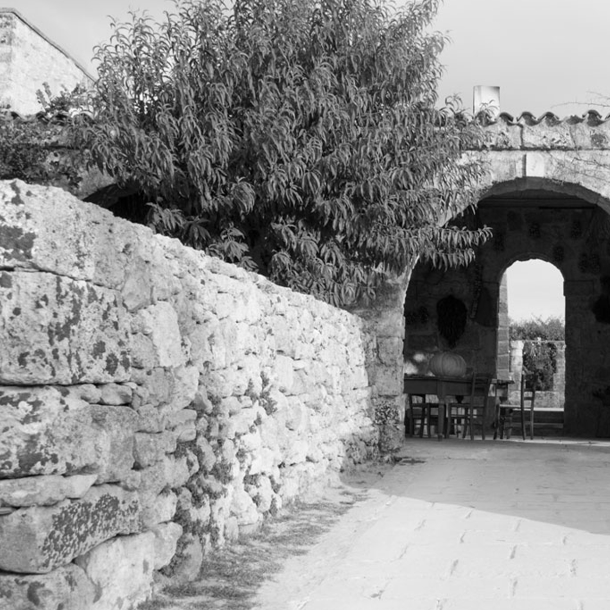 Affreschi & Affreschi | Carpe Diem | CD017 Affreschi & Affreschi | Carpe Diem | CD017