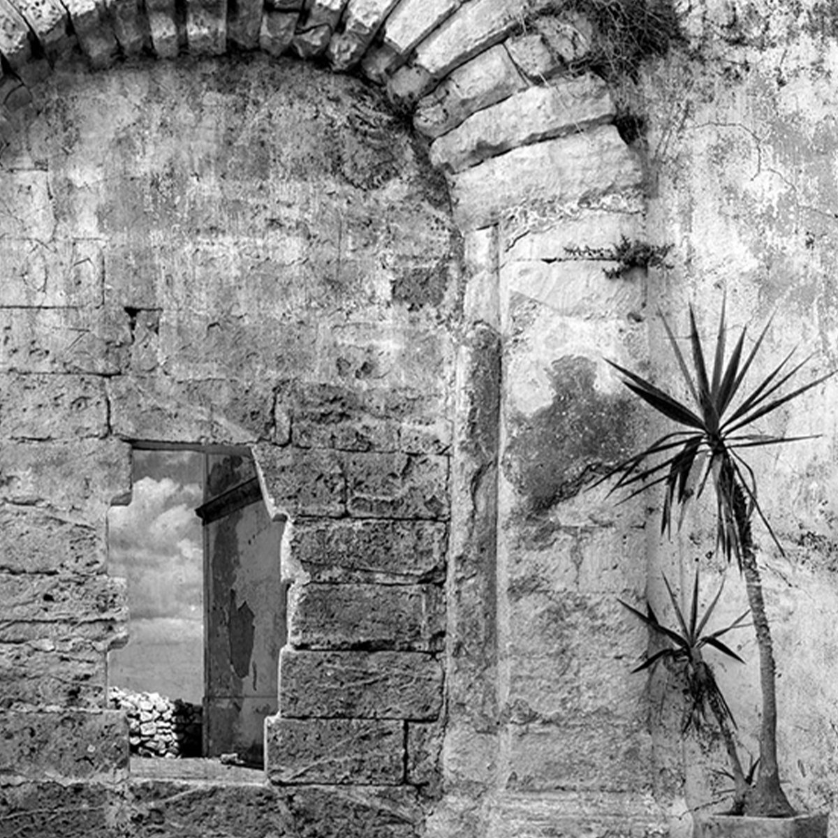 Affreschi & Affreschi | Carpe Diem | CD020 Affreschi & Affreschi | Carpe Diem | CD020