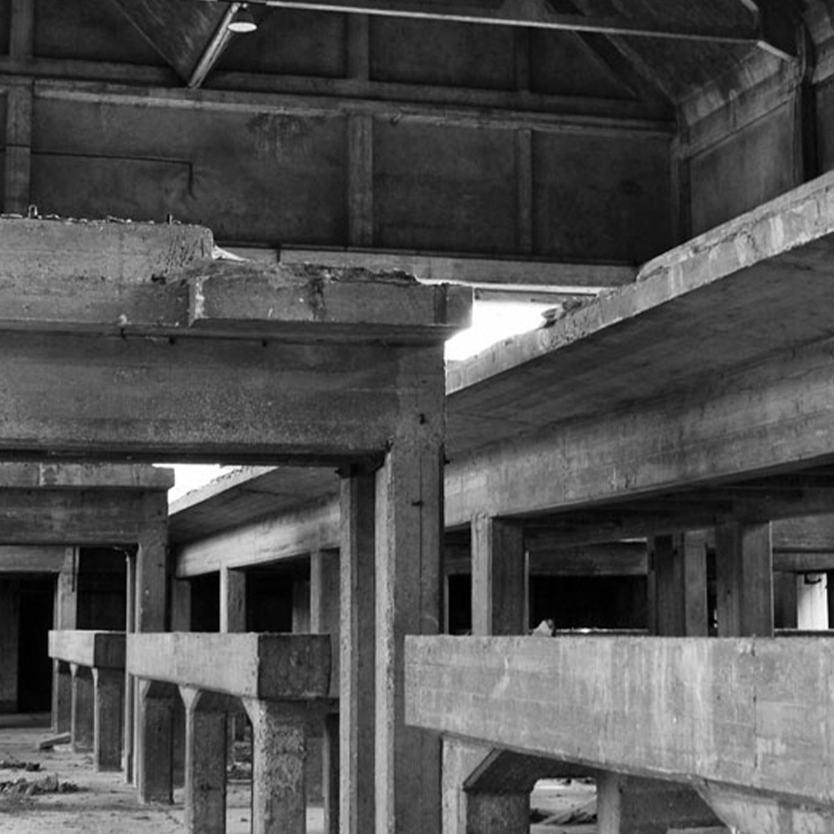 Affreschi & Affreschi | Carpe Diem | CD059 Affreschi & Affreschi | Carpe Diem | CD059