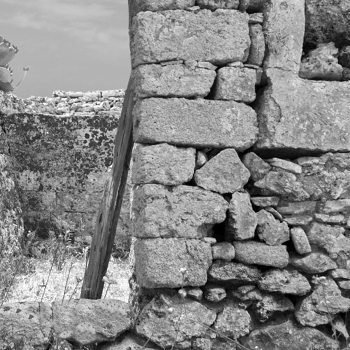 Affreschi & Affreschi | Carpe Diem | CD070 Affreschi & Affreschi | Carpe Diem | CD070