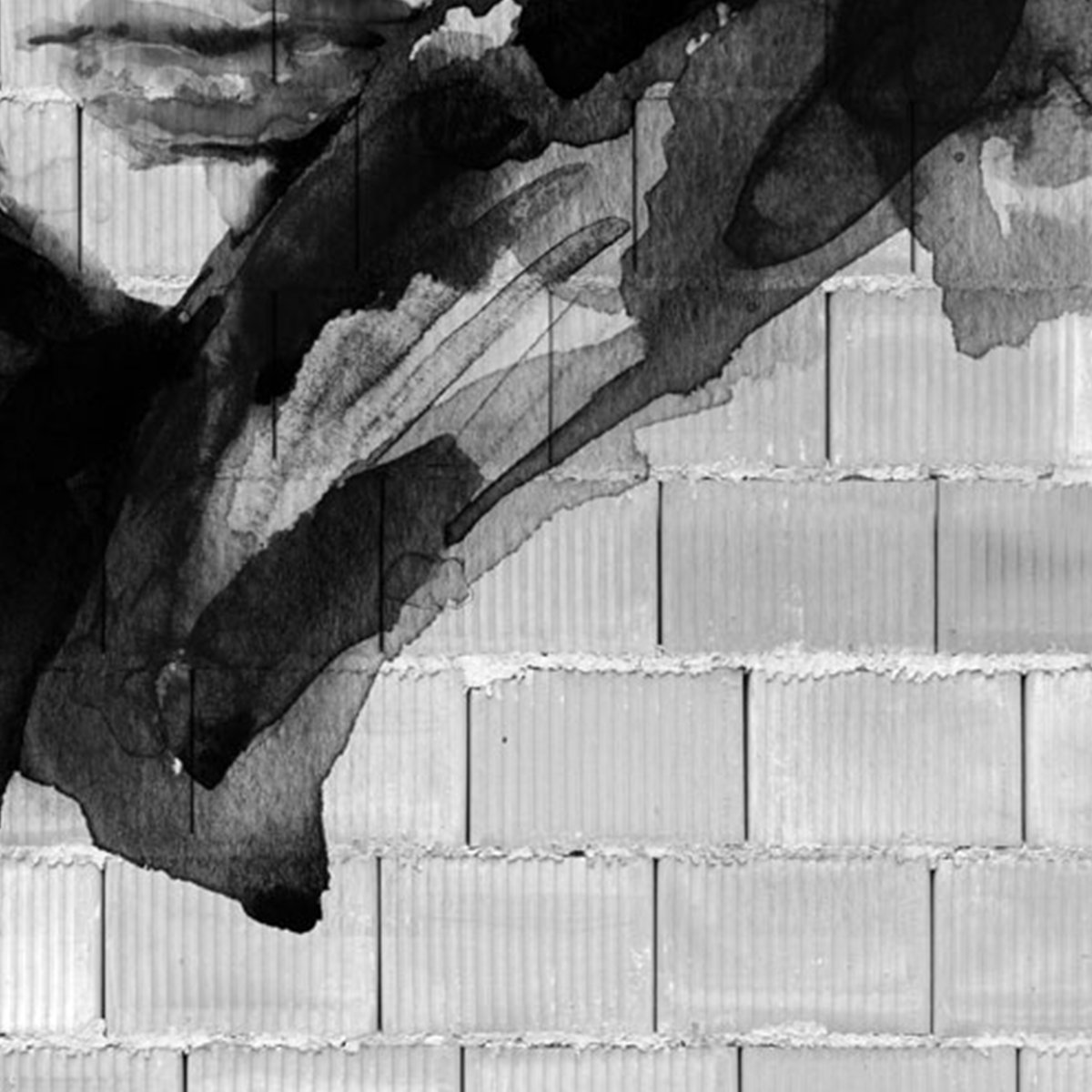 Affreschi & Affreschi | Carpe Diem | CD071 Affreschi & Affreschi | Carpe Diem | CD071