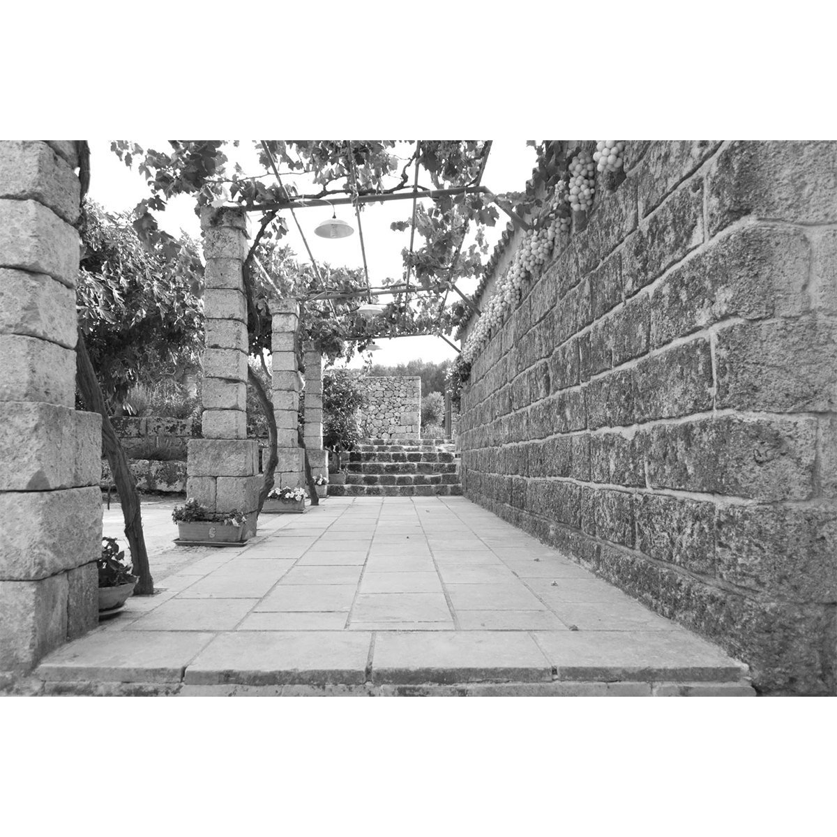 Affreschi & Affreschi | Carpe Diem | CD072 Affreschi & Affreschi | Carpe Diem | CD072