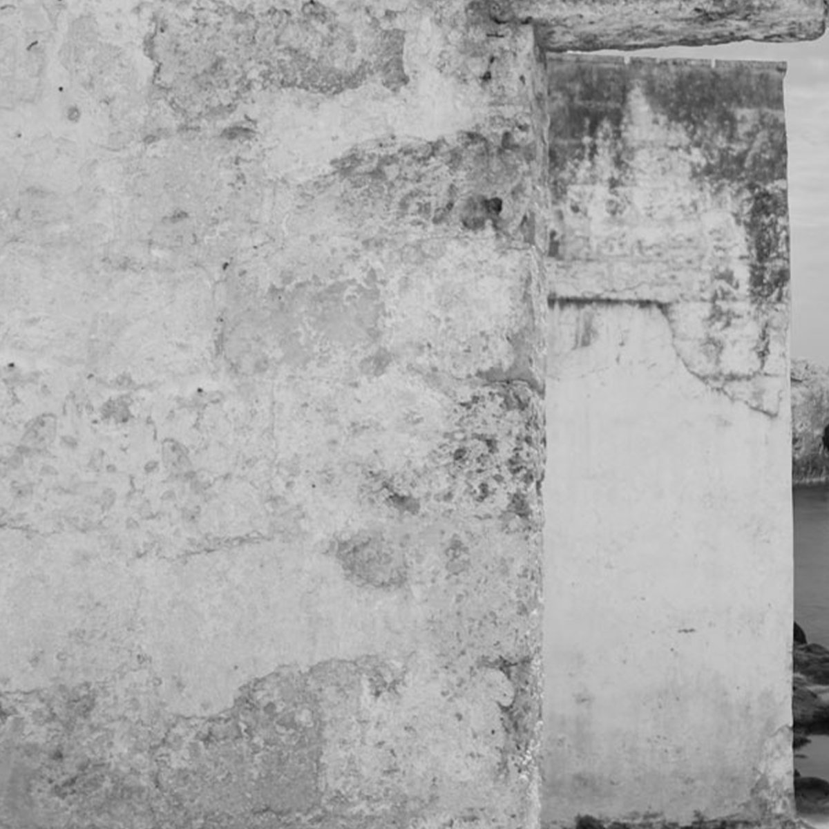 Affreschi & Affreschi | Carpe Diem | CD075 Affreschi & Affreschi | Carpe Diem | CD075