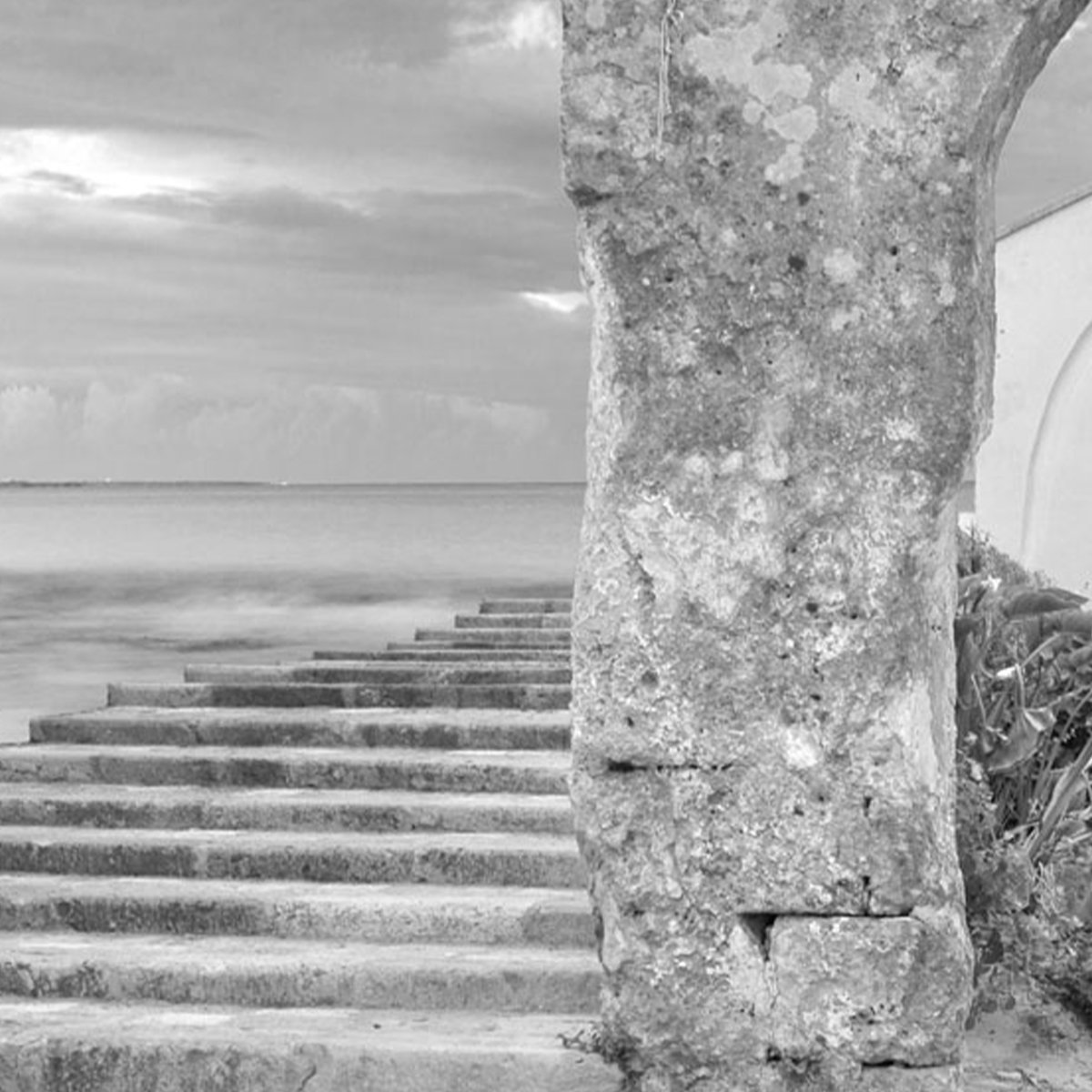 Affreschi & Affreschi | Carpe Diem | CD076 Affreschi & Affreschi | Carpe Diem | CD076