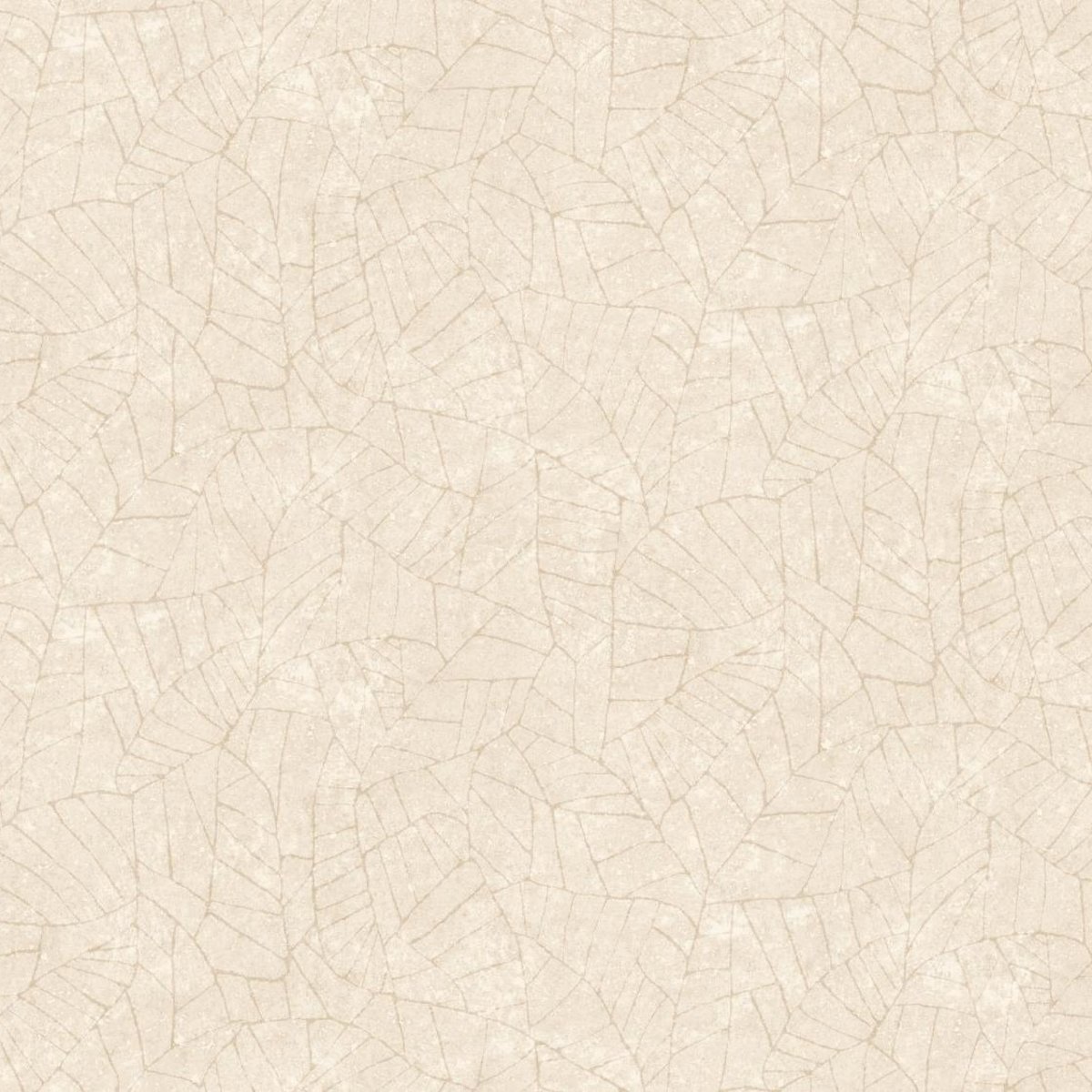 Arte | Essentials Kaolin | Fragment I Arte | Essentials Kaolin | Fragment I