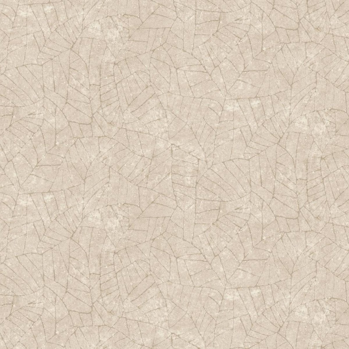 Arte | Essentials Kaolin | Fragment I Arte | Essentials Kaolin | Fragment I