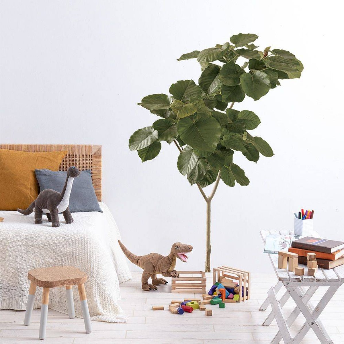 Botanical Sticker | Umbellata Botanical Sticker | Umbellata