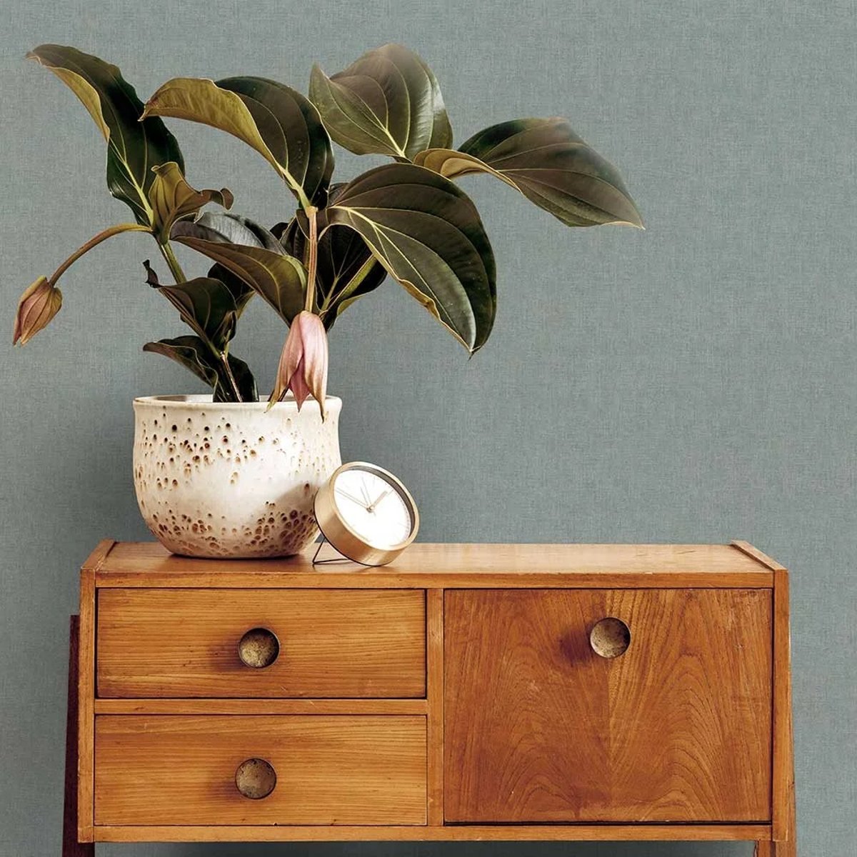 Graham & Brown | Zara Graham & Brown | Zara