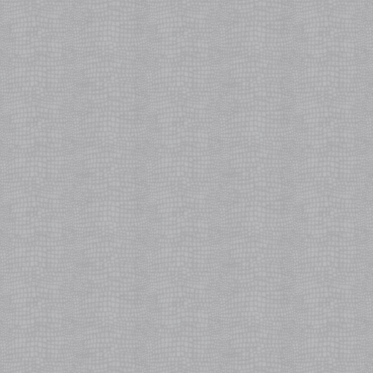 Graham & Brown | Crocodile Graham & Brown | Crocodile