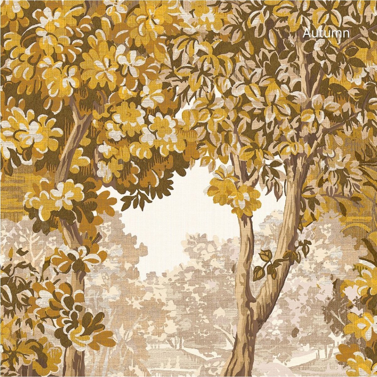 Graham & Brown | Bodenham Graham & Brown | Bodenham