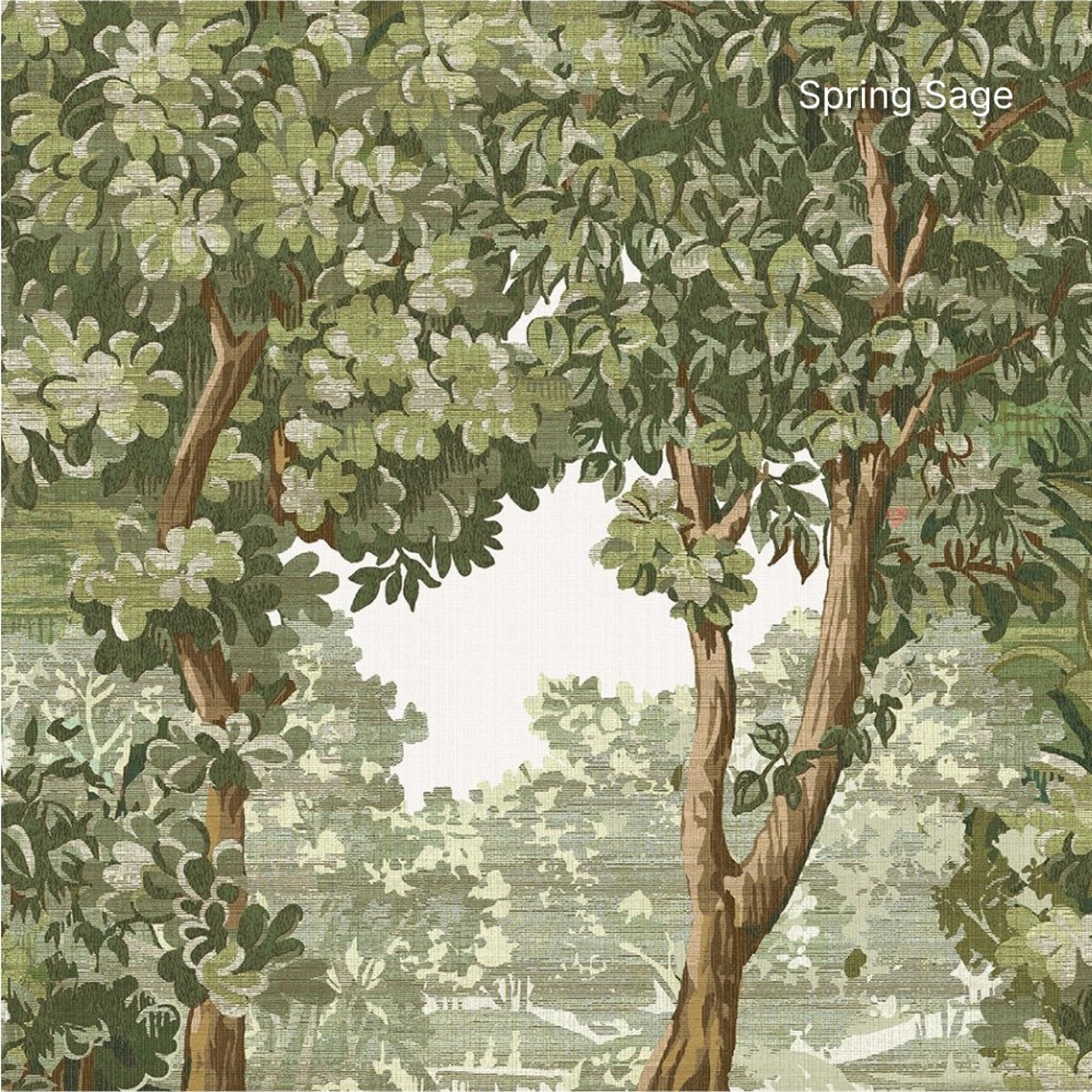 Graham & Brown | Bodenham Graham & Brown | Bodenham