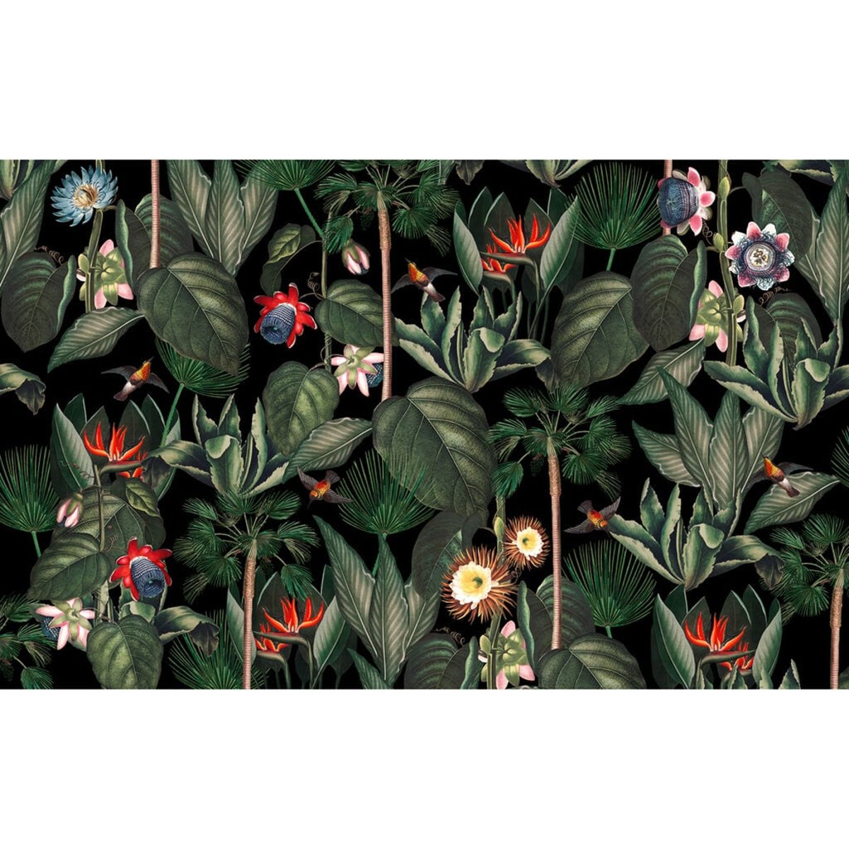Graham & Brown | Botanique Jungle Graham & Brown | Botanique Jungle