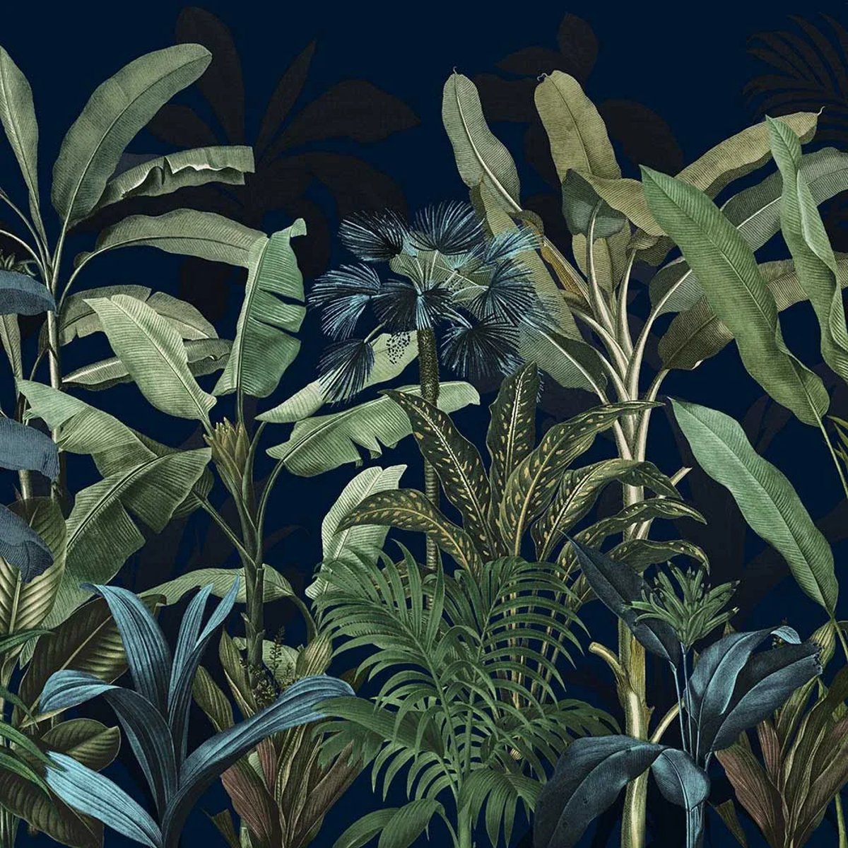 Graham & Brown | Congo Graham & Brown | Congo