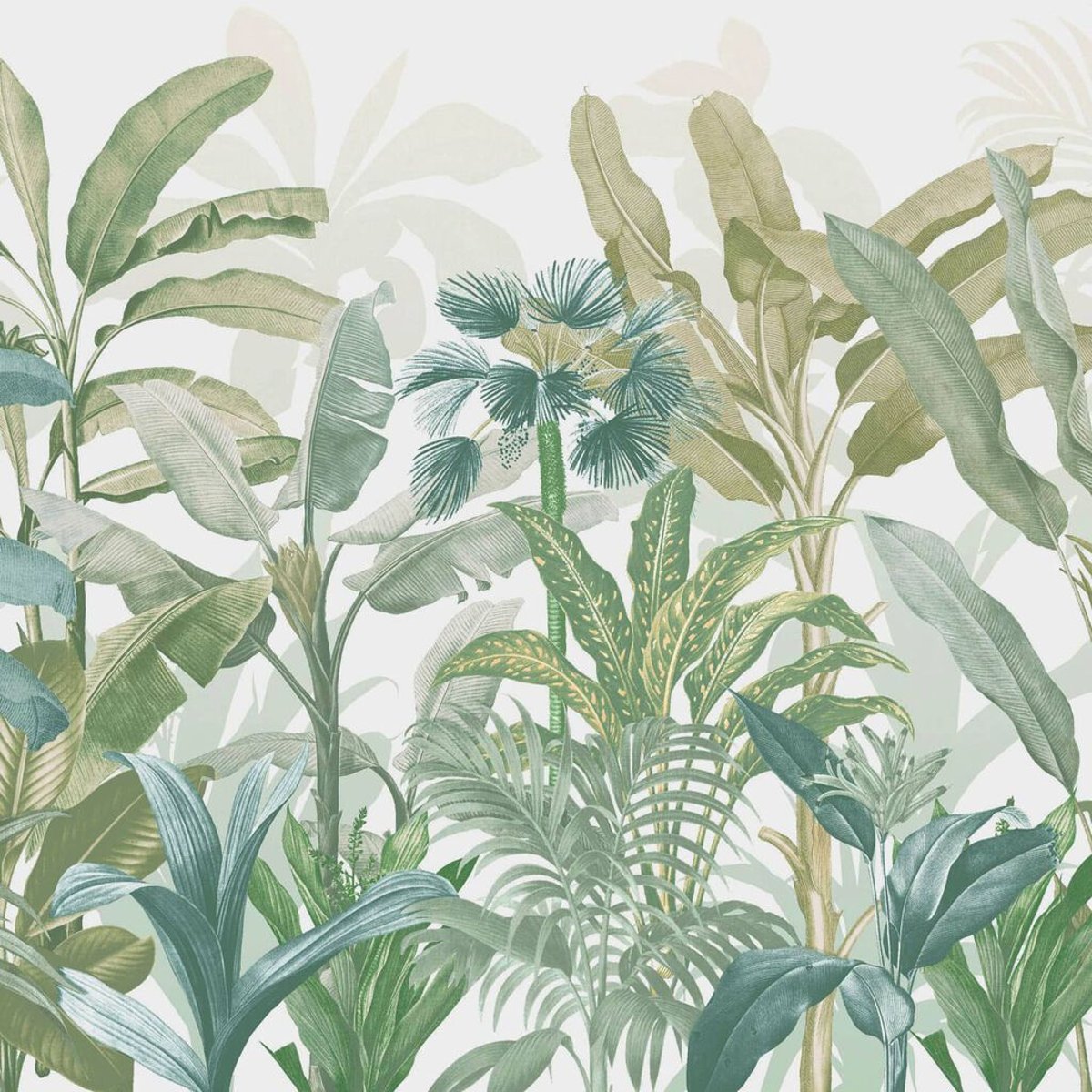 Graham & Brown | Congo Graham & Brown | Congo