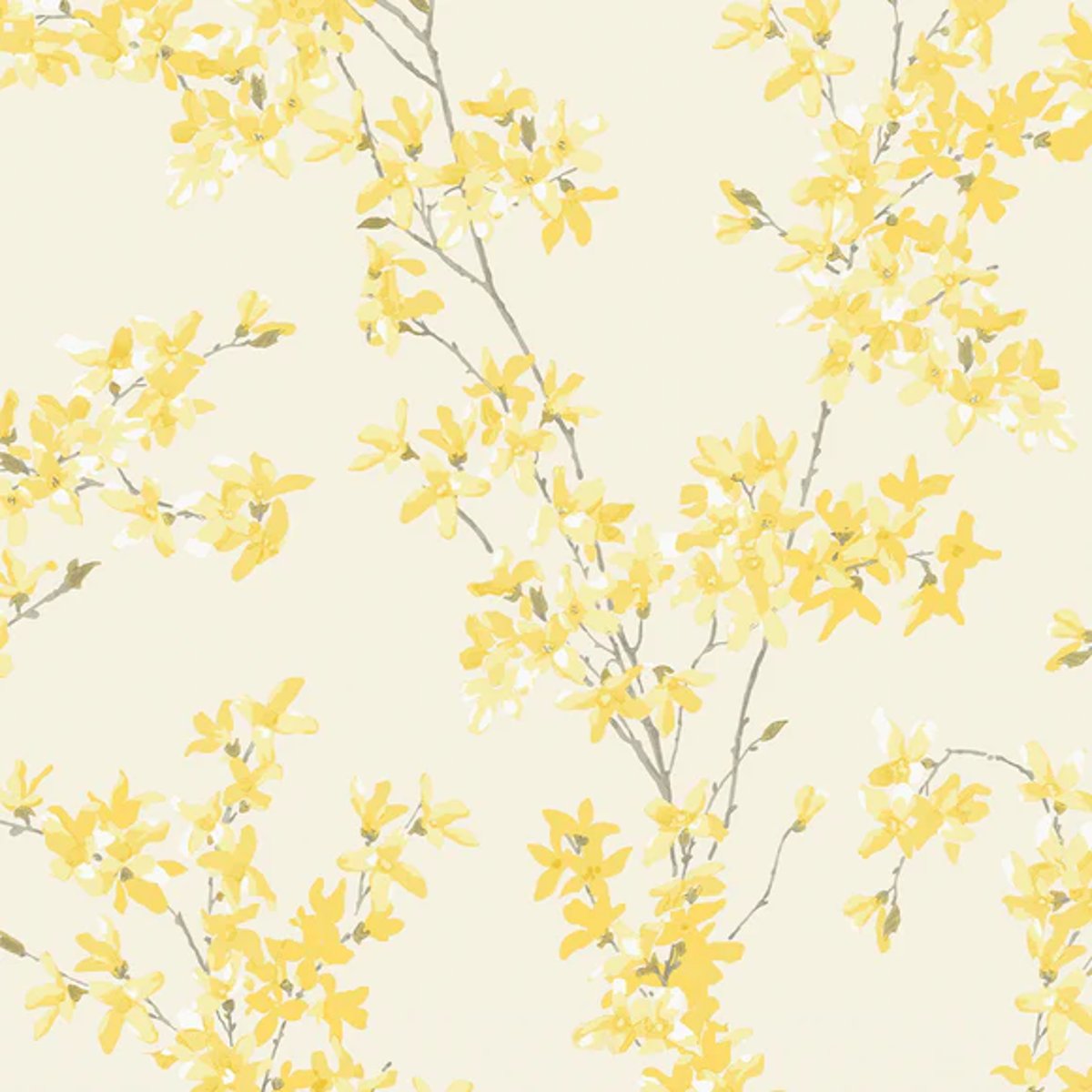Graham & Brown | Forsythia Graham & Brown | Forsythia
