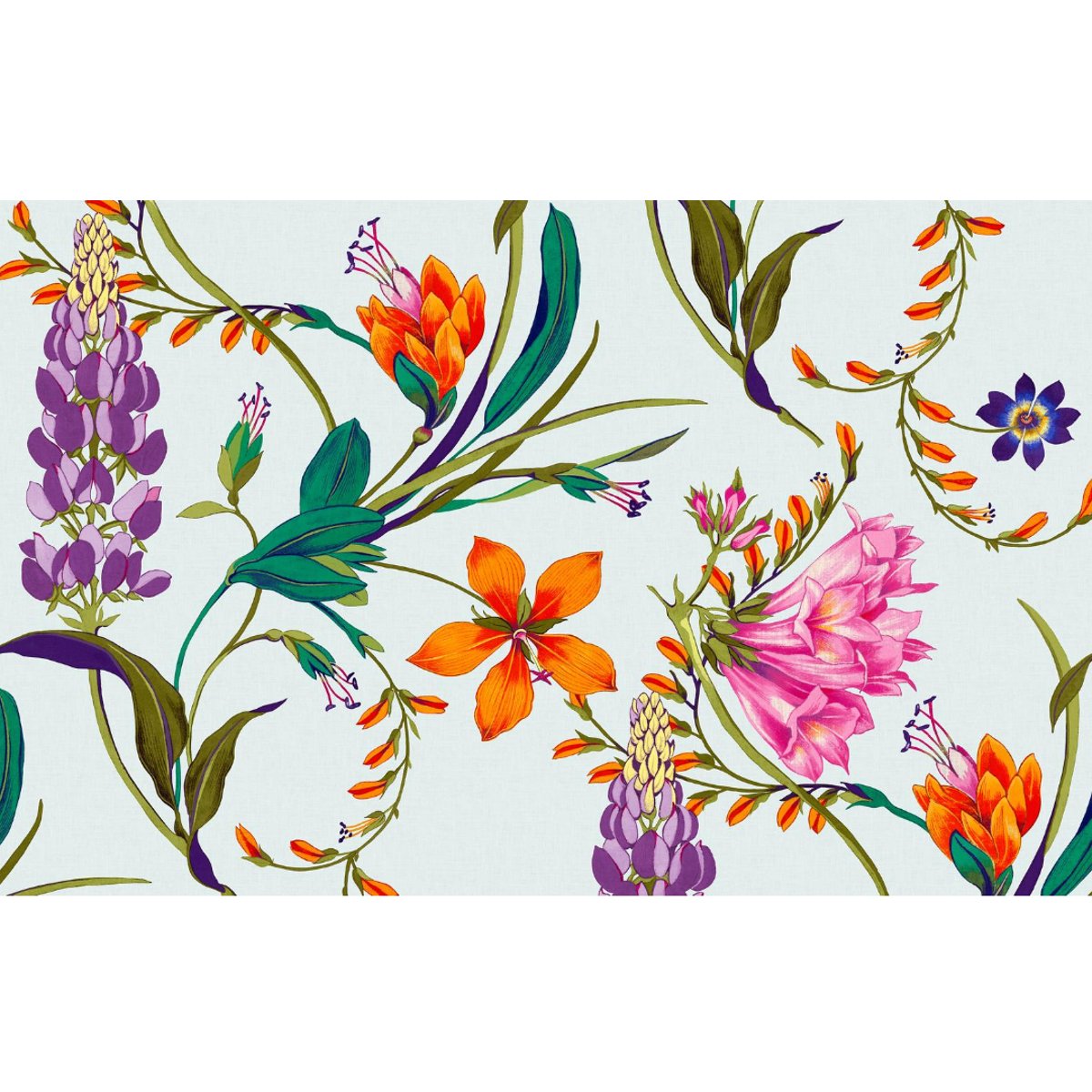 Graham & Brown | Botanists Scroll Bespoke Mural Graham & Brown | Botanists Scroll Bespoke Mural