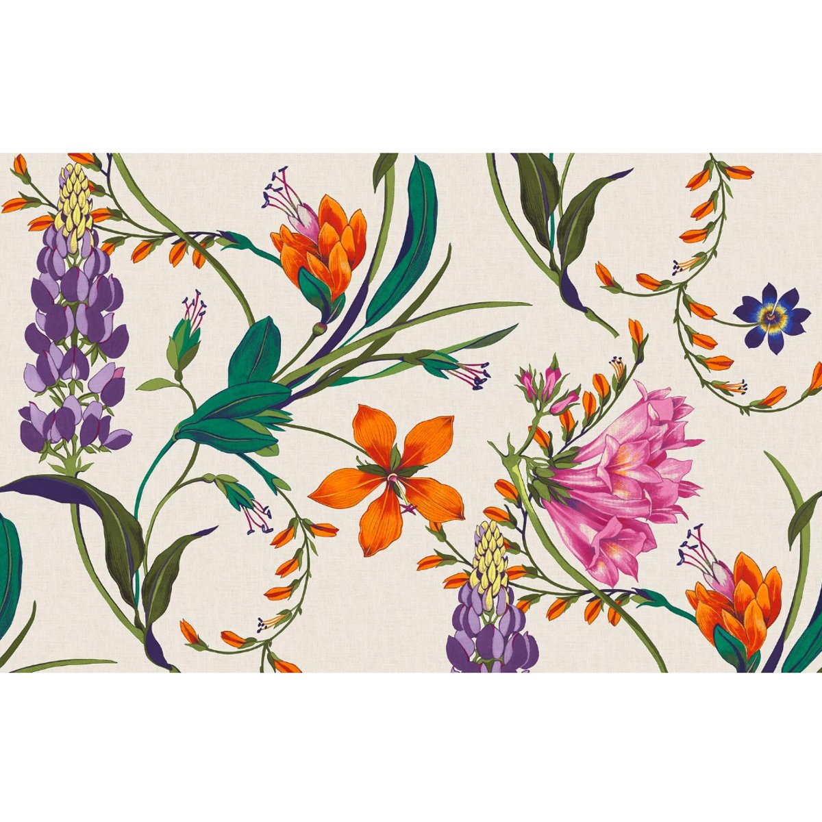 Graham & Brown | Botanists Scroll Bespoke Mural Graham & Brown | Botanists Scroll Bespoke Mural