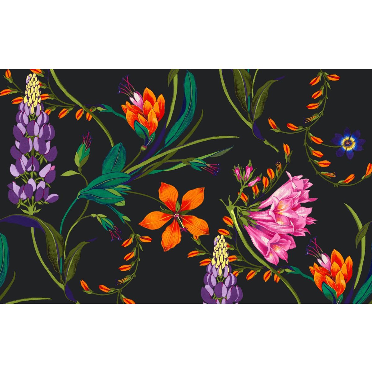 Graham & Brown | Botanists Scroll Bespoke Mural Graham & Brown | Botanists Scroll Bespoke Mural