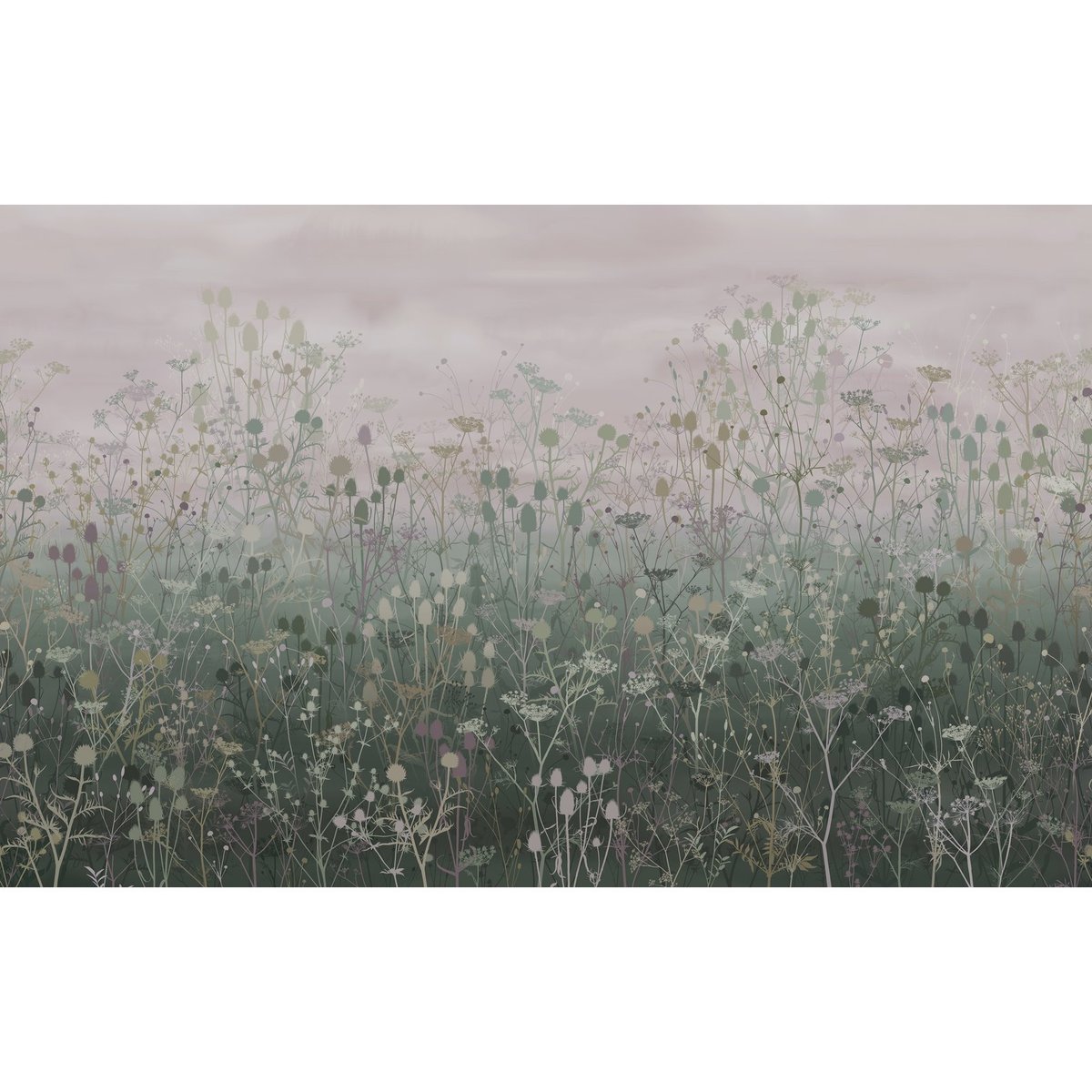 Graham & Brown | Tania's Garden Graham & Brown | Tania's Garden