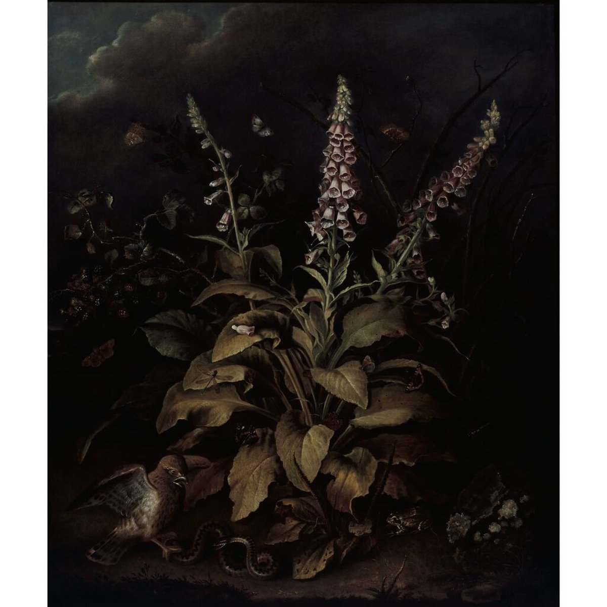 Graham & Brown | Weaver Foxglove and Brambles | 118907 Graham & Brown | Weaver Foxglove and Brambles | 118907