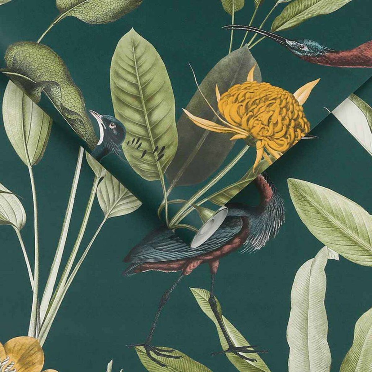 Graham & Brown | Glasshouse Wallpaper Graham & Brown | Glasshouse Wallpaper